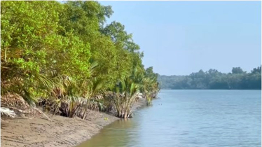 সুন্দরবন খুলছে ১ সেপ্টেম্বর