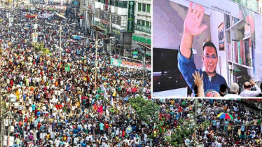 অন্তর্বর্তী সরকার যেন নিজেরাই ব্যর্থতার কারণ না হয়: তারেক রহমান