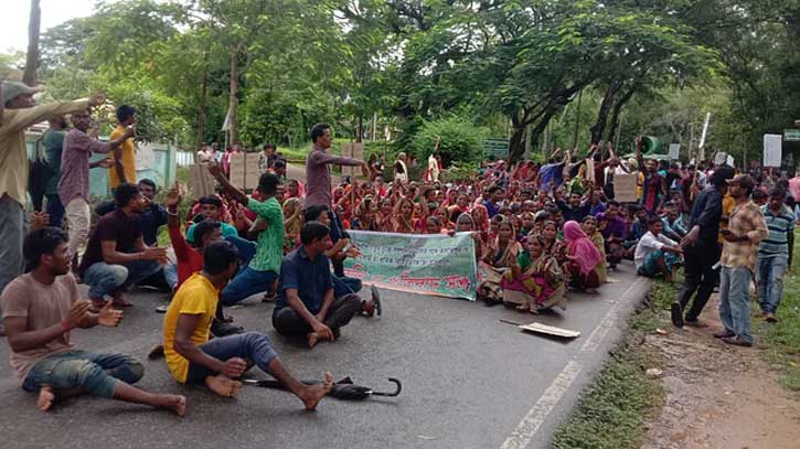 চা-শ্রমিকদের মজুরি ২৫ টাকা বাড়িয়ে ১৪৫ টাকা নির্ধারণ, ধর্মঘট প্রত্যাহার