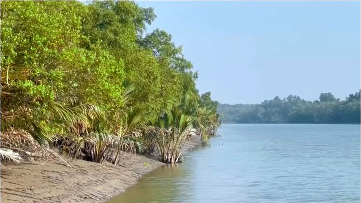 সুন্দরবন খুলছে ১ সেপ্টেম্বর